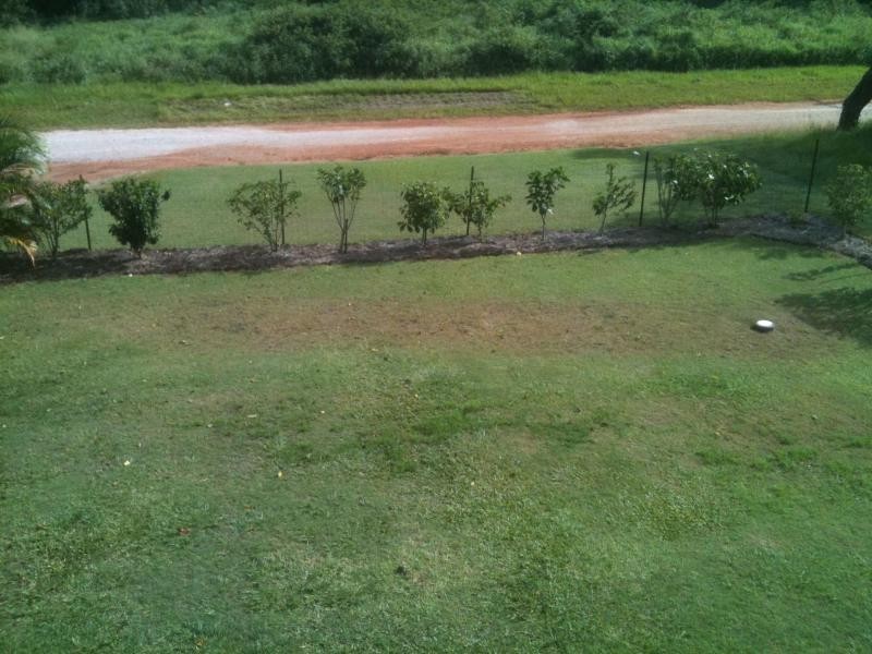 7 Conran Street, Macleay Island QLD 4184