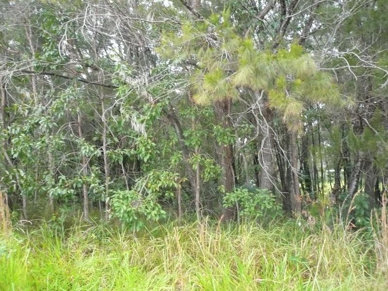 10 Percival Street, Macleay Island QLD 4184