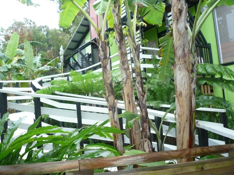 62 Timothy Street, Macleay Island QLD 4184