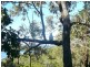 62 Timothy Street, Macleay Island QLD 4184