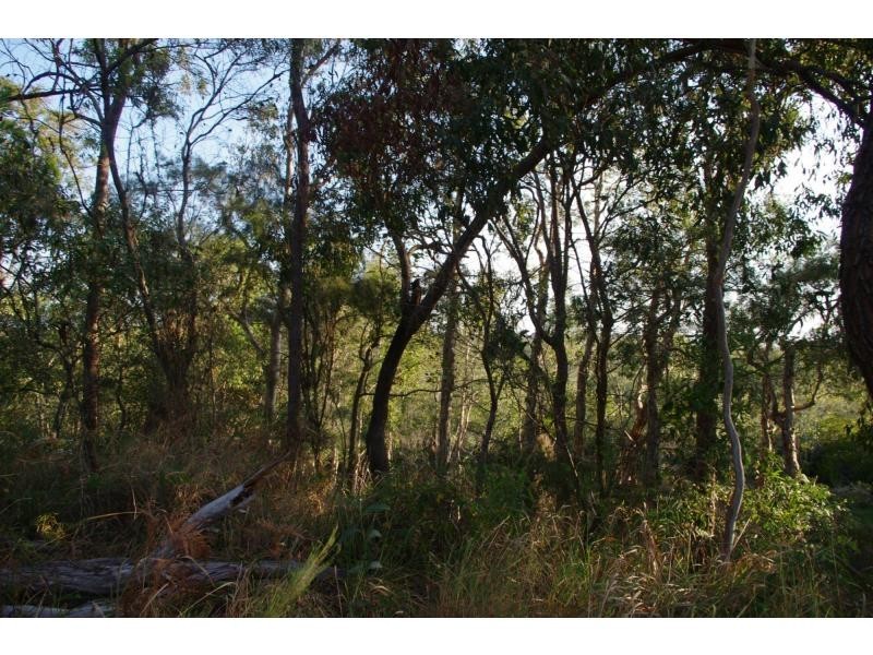 70 Treasure Island Avenue, Karragarra Island QLD 4184