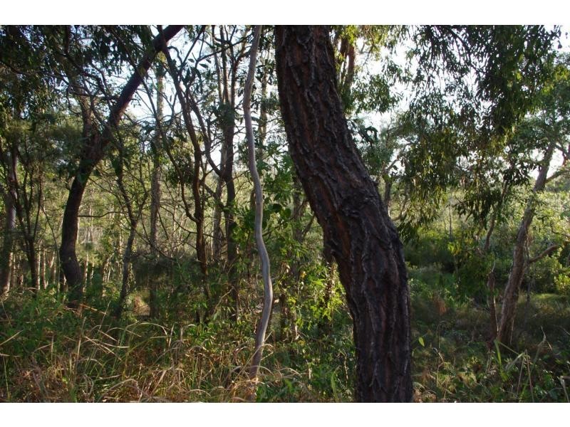 70 Treasure Island Avenue, Karragarra Island QLD 4184