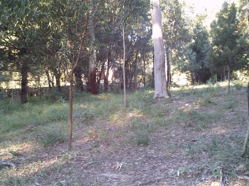 6 Attunga Street, Macleay Island QLD 4184