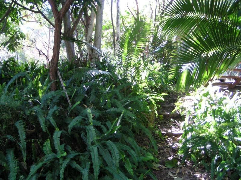 7 Picininny Street, Macleay Island QLD 4184