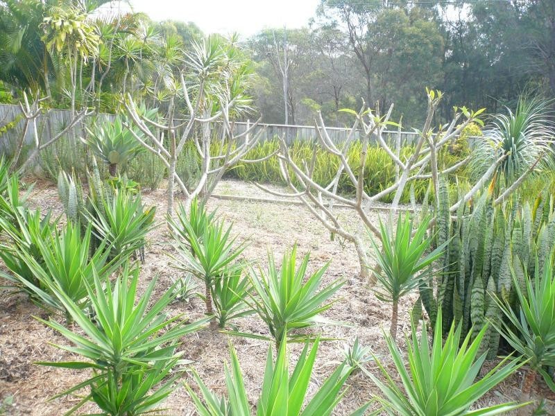 62 Coondooroopa Drive, Macleay Island QLD 4184