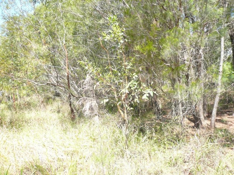 22 Natone Terrace, Macleay Island QLD 4184