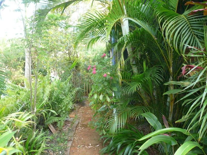 61 Lucas Drive, Lamb Island QLD 4184