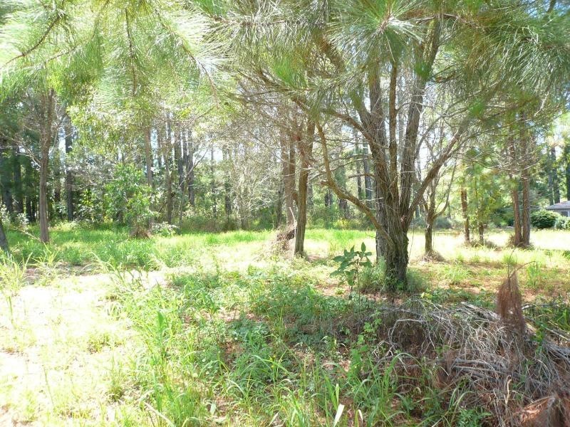 16 Jordan Street, Macleay Island QLD 4184