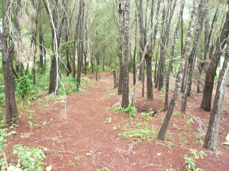 30 Arthur Street, Macleay Island QLD 4184