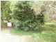 40 Cooee Crescent, Macleay Island QLD 4184