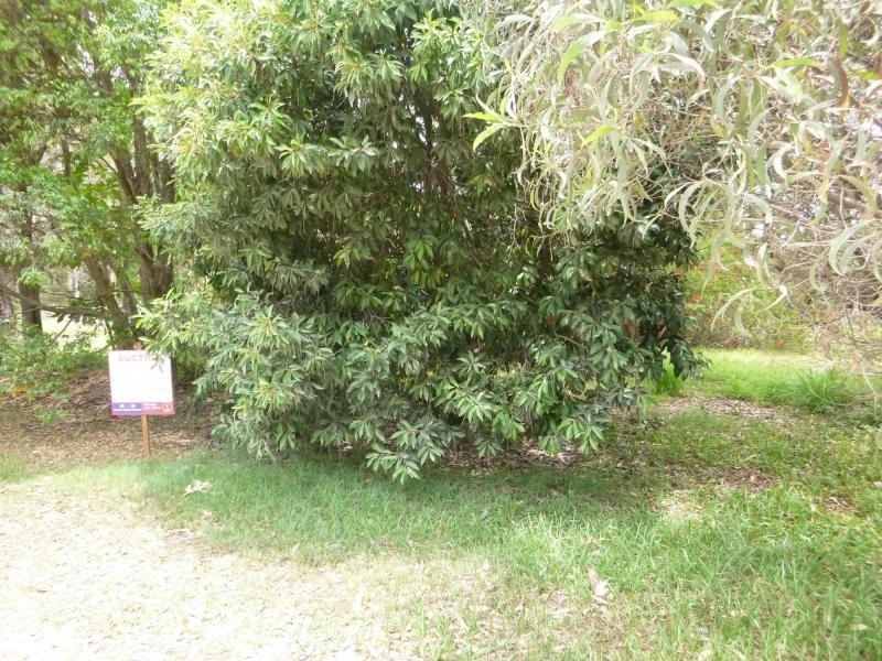 40 Cooee Crescent, Macleay Island QLD 4184