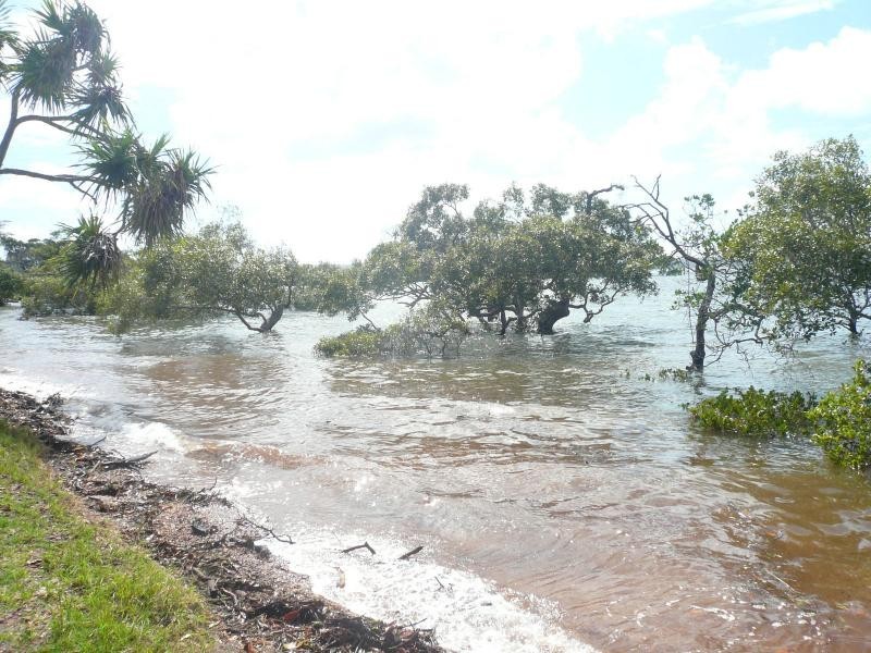 20 Coorong Street, Macleay Island QLD 4184