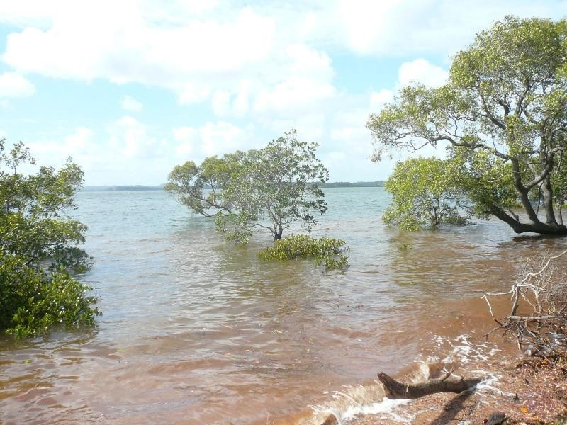 20 Coorong Street, Macleay Island QLD 4184