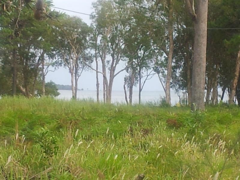 20 Undine Street, Macleay Island QLD 4184