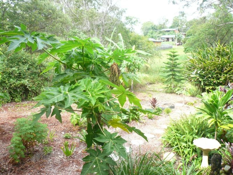 8 Rainbow Avenue, Macleay Island QLD 4184