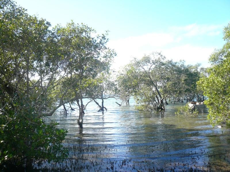 4 Koonwarra Parade, Macleay Island QLD 4184