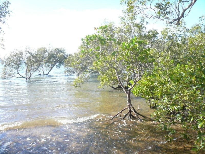 4 Koonwarra Parade, Macleay Island QLD 4184