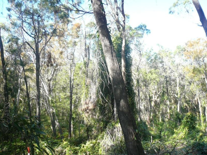 18 Timothy Street, Macleay Island QLD 4184