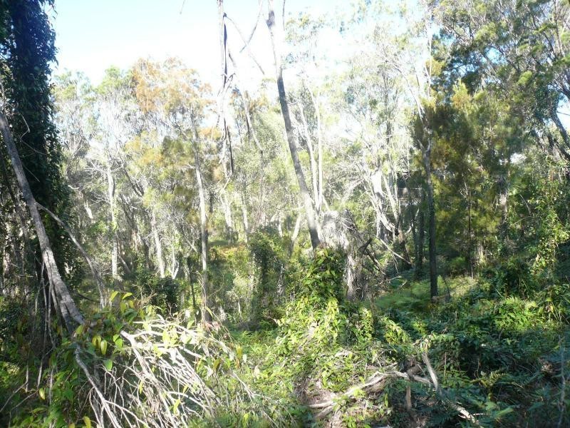 18 Timothy Street, Macleay Island QLD 4184