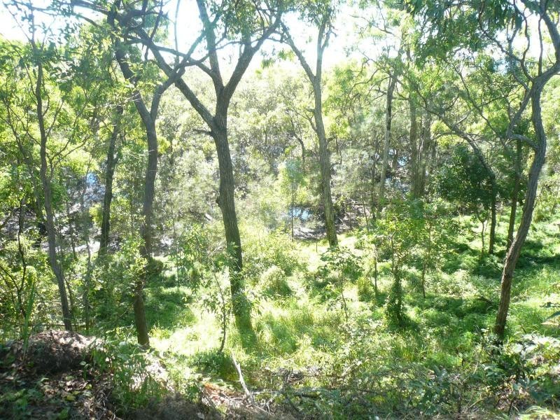 11 Beelong Street, Macleay Island QLD 4184