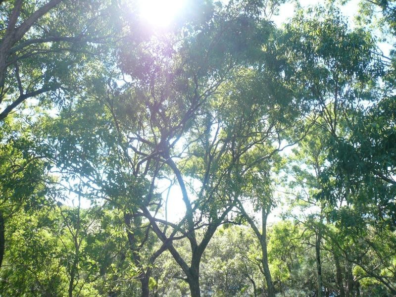 11 Beelong Street, Macleay Island QLD 4184