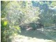 31 Scotts Road, Macleay Island QLD 4184