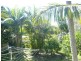 31 Scotts Road, Macleay Island QLD 4184