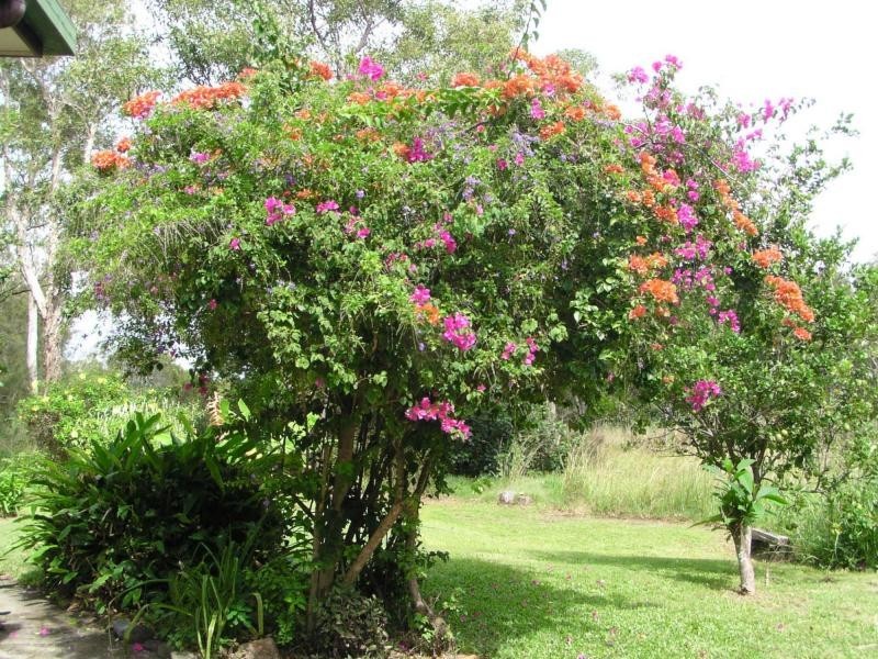 82-84 Charles Terrace, Macleay Island QLD 4184