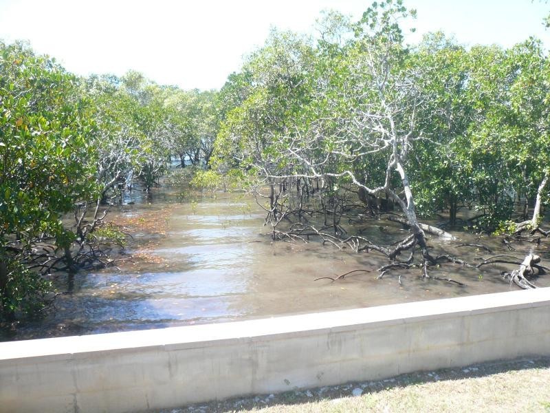 10 Boat Harbour Drive, Macleay Island QLD 4184
