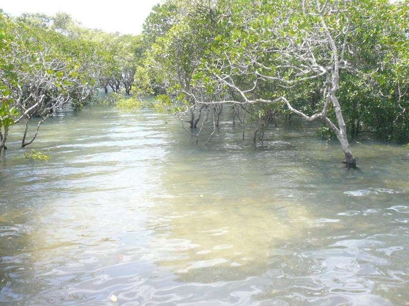 10 Boat Harbour Drive, Macleay Island QLD 4184