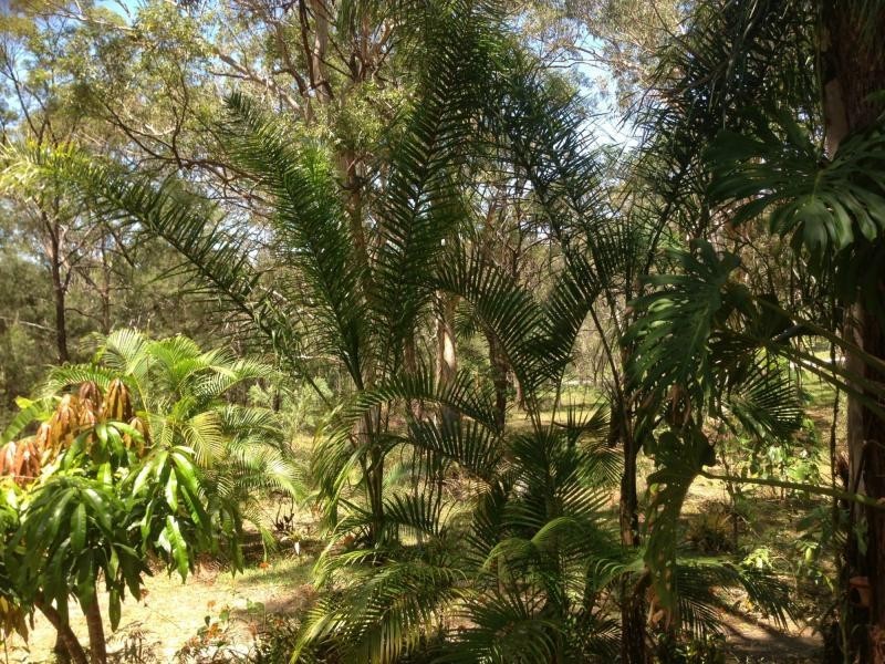 25 Nunkeri Drive, Macleay Island QLD 4184