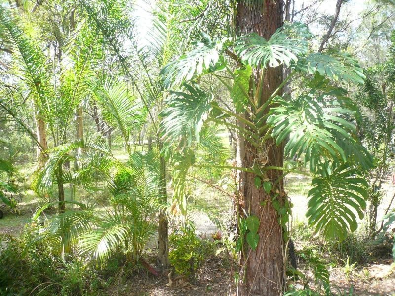 25 Nunkeri Drive, Macleay Island QLD 4184