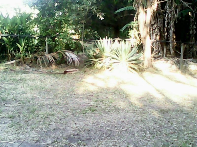 22 Mango Crescent, Macleay Island QLD 4184