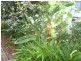 152 Kate Street, Macleay Island QLD 4184