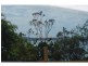 51 Wirralee Street, Macleay Island QLD 4184