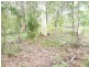 6 Warama Street, Macleay Island QLD 4184