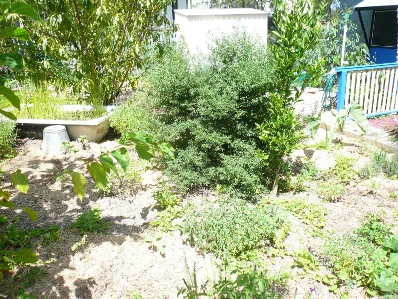 20 Deviot Street, Macleay Island QLD 4184