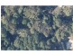 Macleay Island QLD 4184