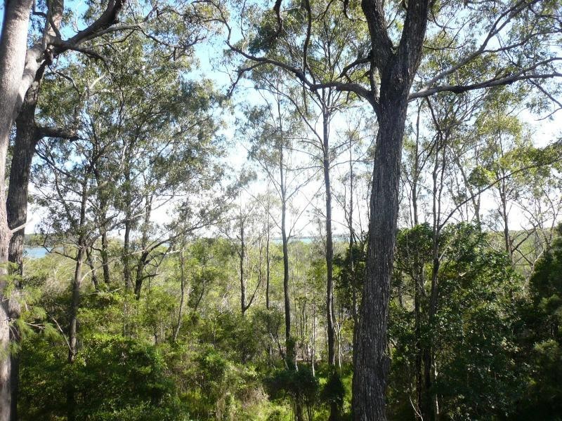 4 Eagle Street, Macleay Island QLD 4184