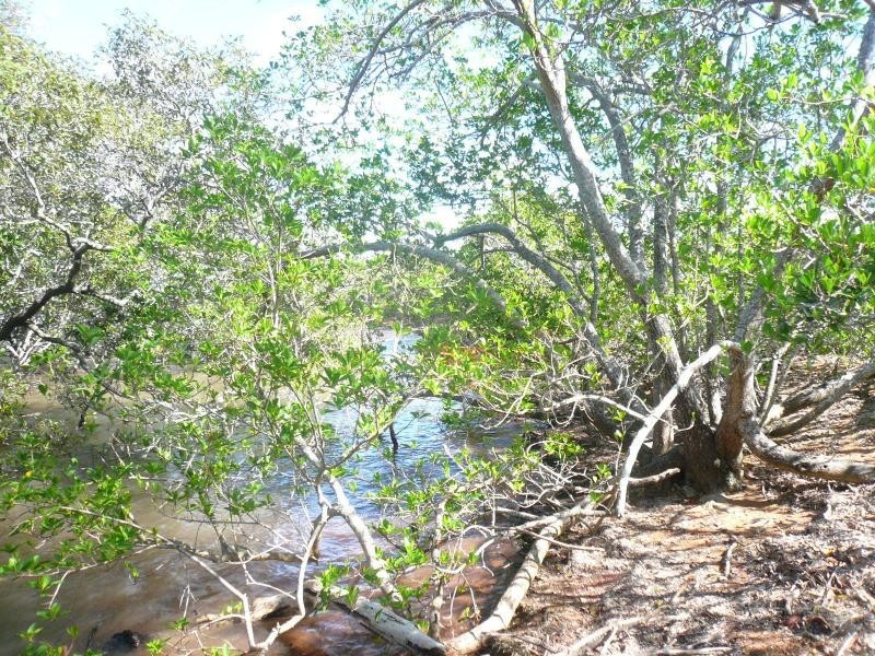 4 Eagle Street, Macleay Island QLD 4184