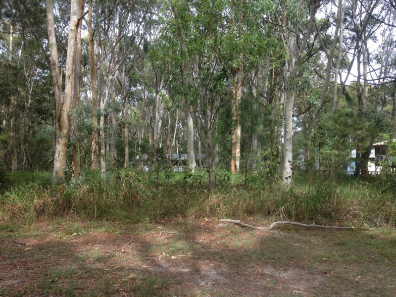 18 Parakeet Street, Macleay Island QLD 4184