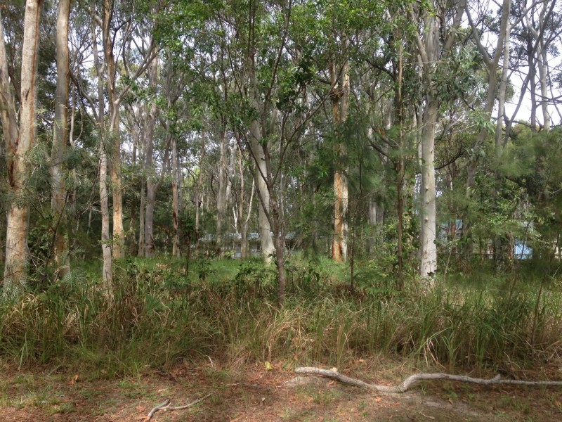 18 Parakeet Street, Macleay Island QLD 4184