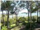 87 Coondooroopa Drive, Macleay Island QLD 4184