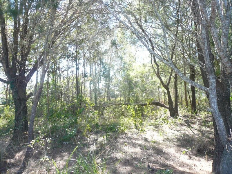 7 Cressy Street, Macleay Island QLD 4184