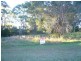 11 Pecan Street, Macleay Island QLD 4184