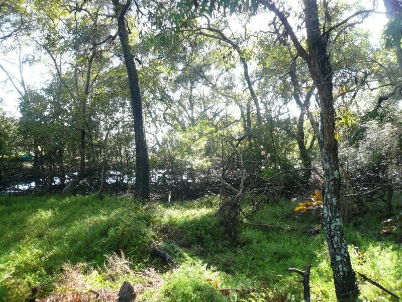 21 Beelong Street, Macleay Island QLD 4184