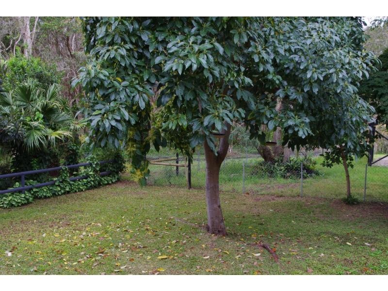 14 Lemontree Drive, Macleay Island QLD 4184
