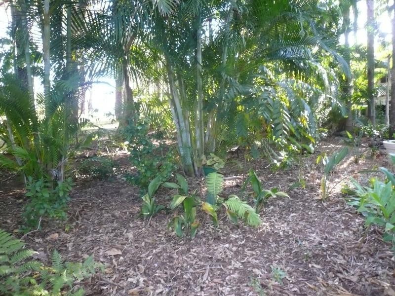 12 Rio Street, Macleay Island QLD 4184