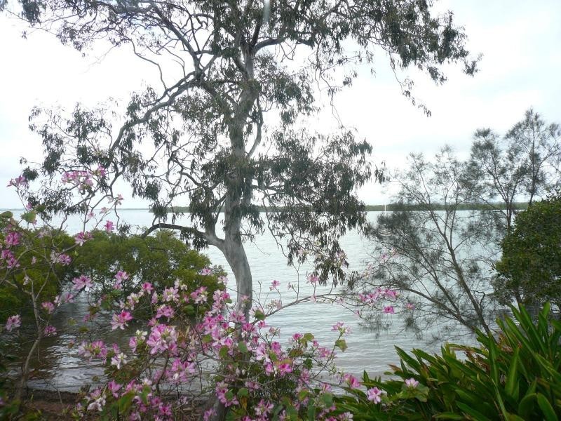 102 Western Road, Macleay Island QLD 4184