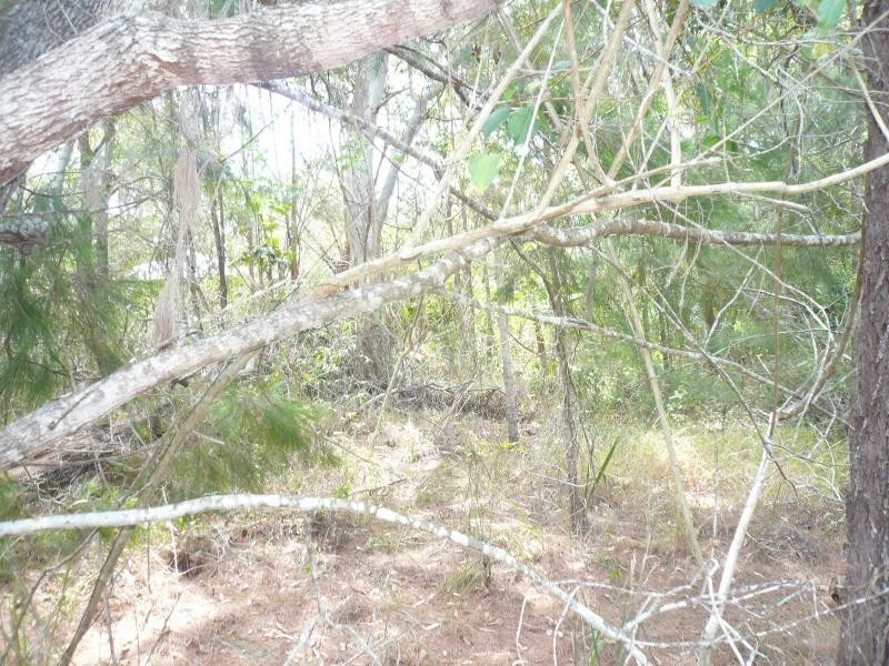 3 Rhodes Street, Macleay Island QLD 4184